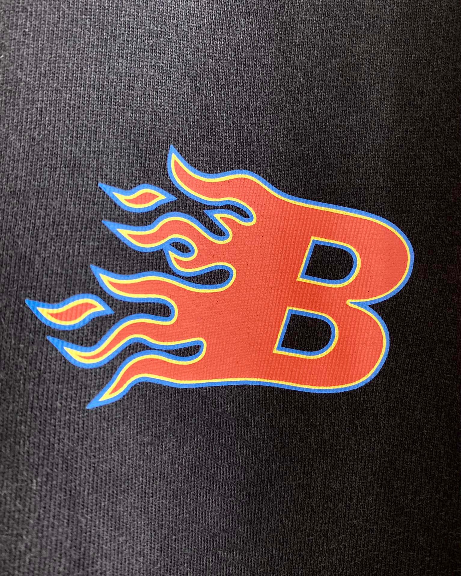 Ba1en*iaga T-shirt