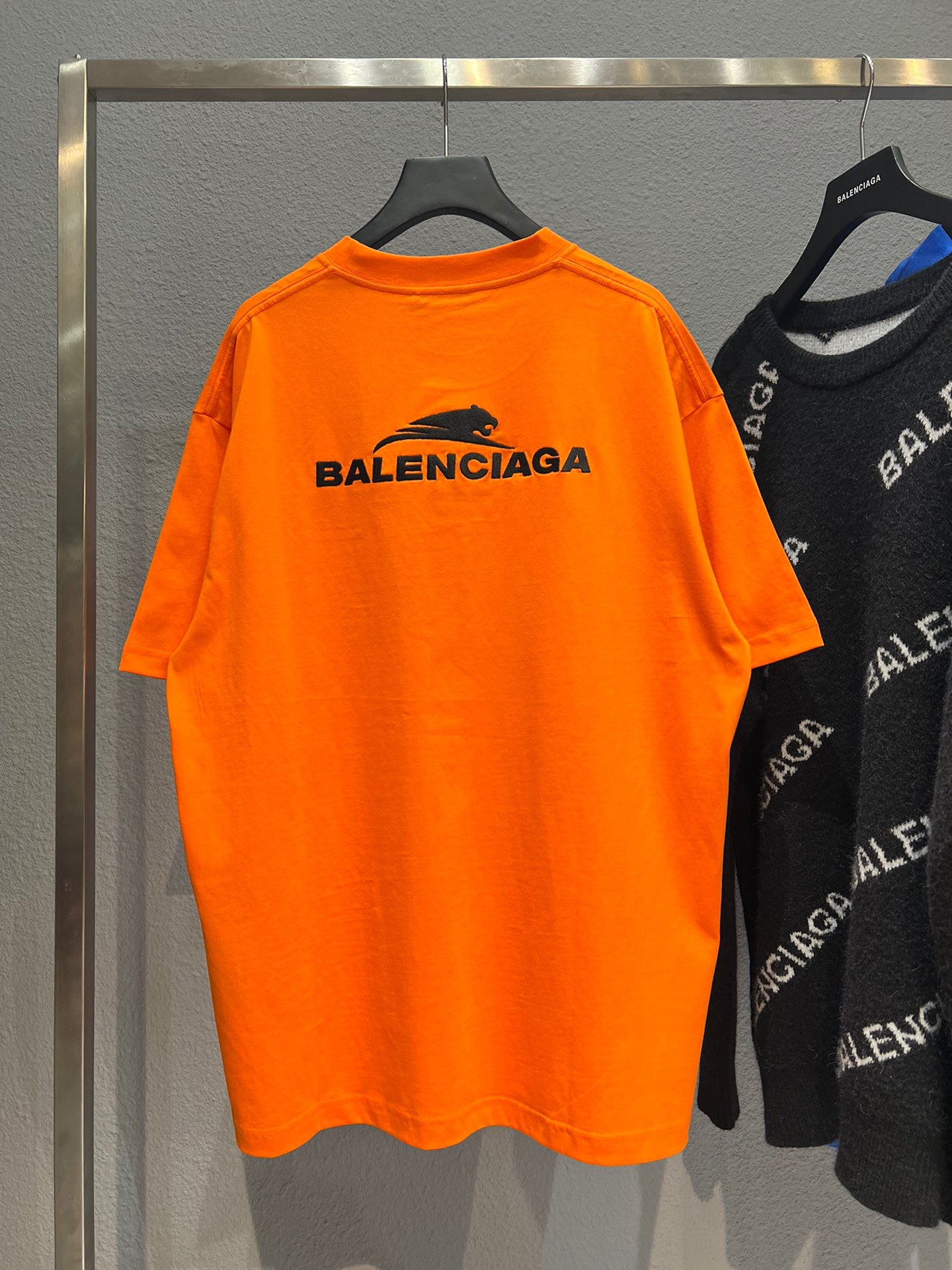 Ba1en*iaga T-shirt