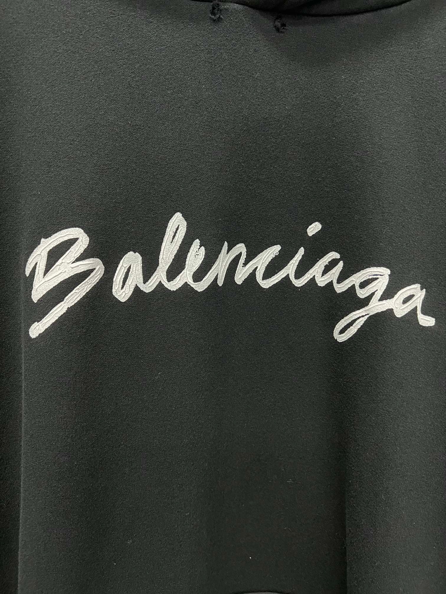 Ba1en*iaga Hoodie