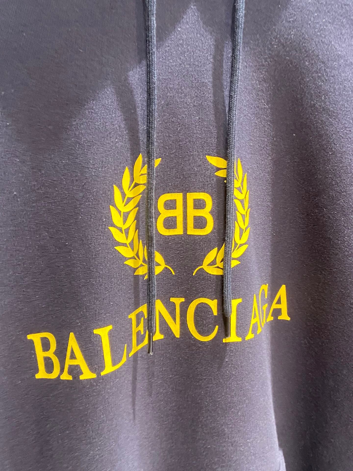 Ba1en*iaga Hoodie