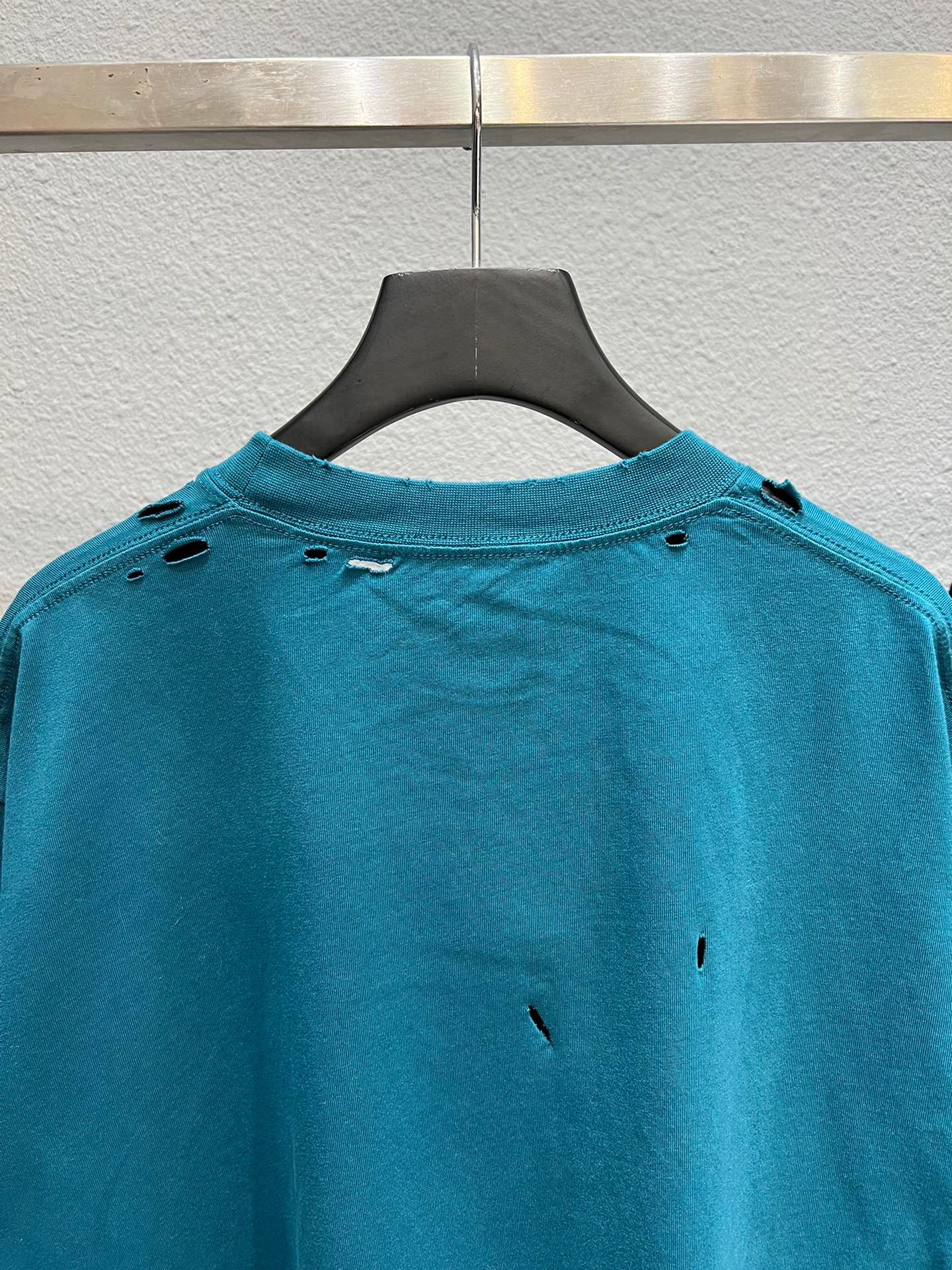 Ba1en*iaga T-shirt