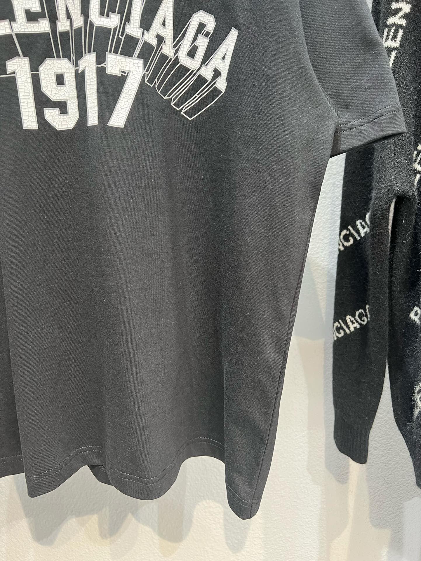 Ba1en*iaga T-shirt