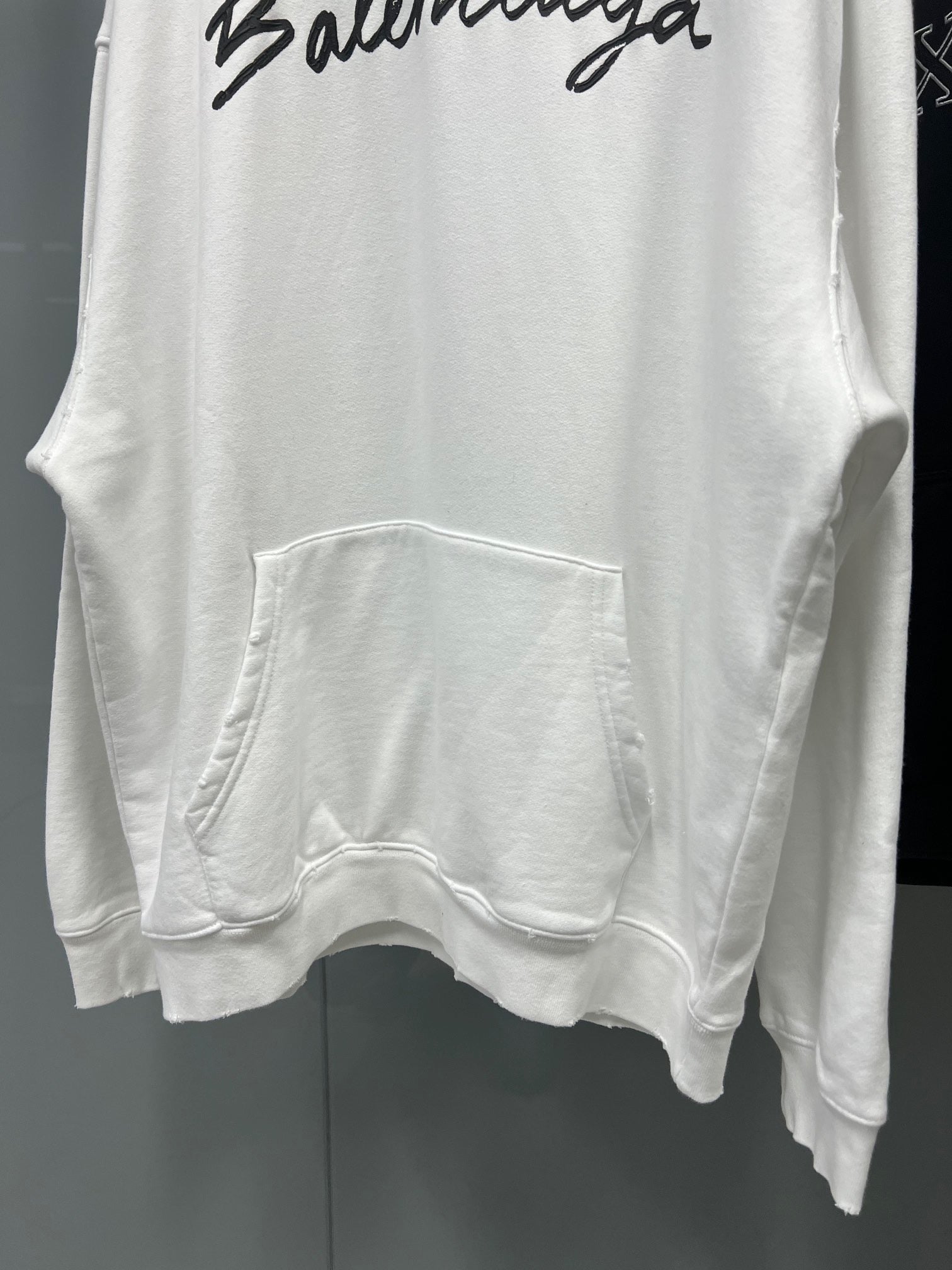 Ba1en*iaga Hoodie