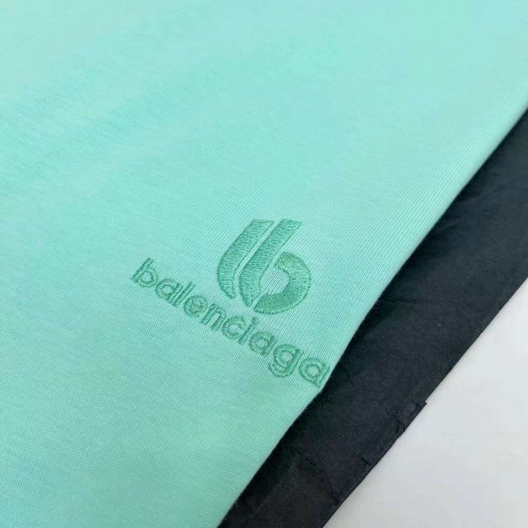 Ba1en*iaga T-shirt