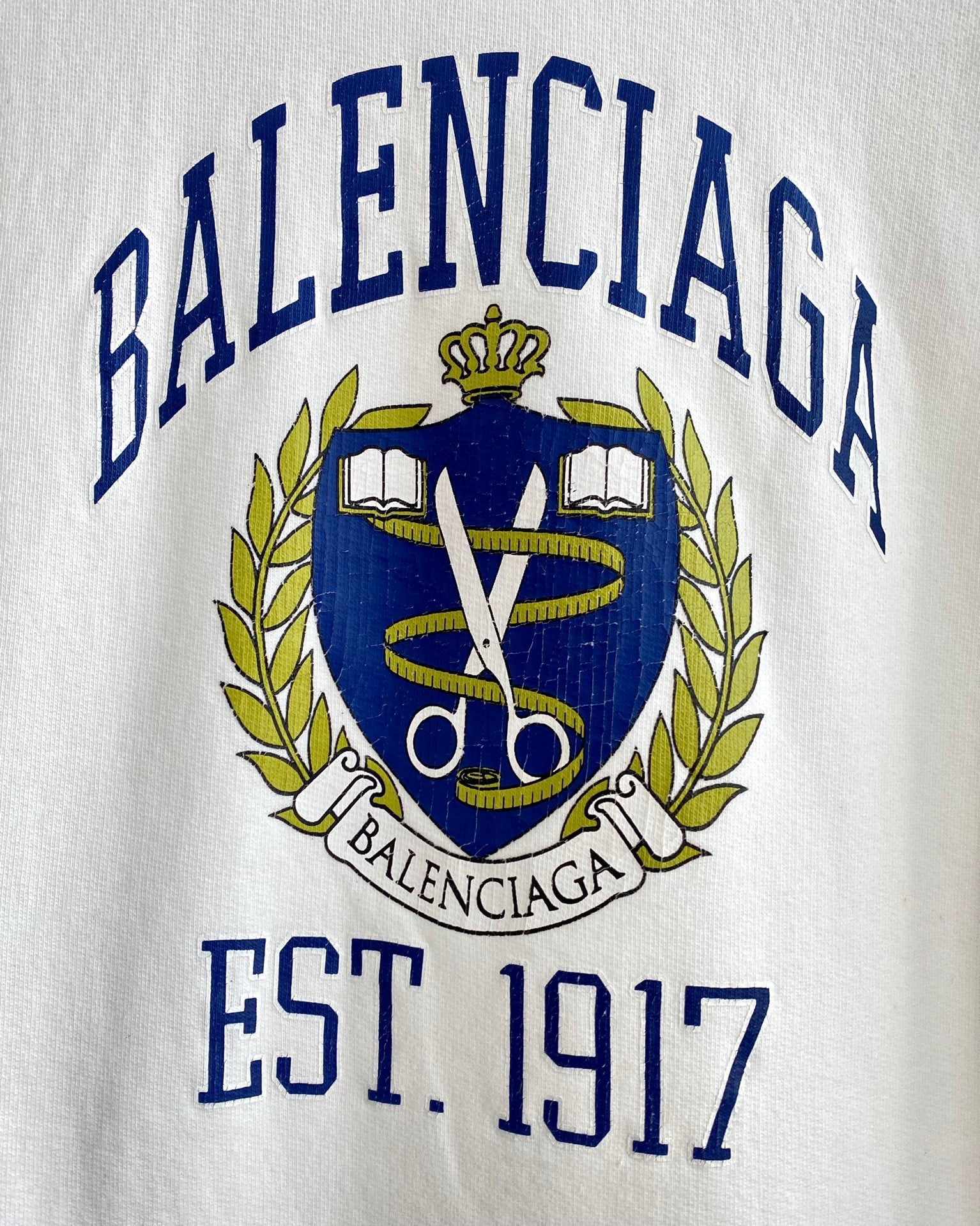 Ba1en*iaga Hoodie