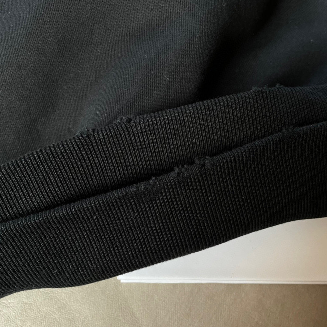 Ba1en*iaga Hoodie