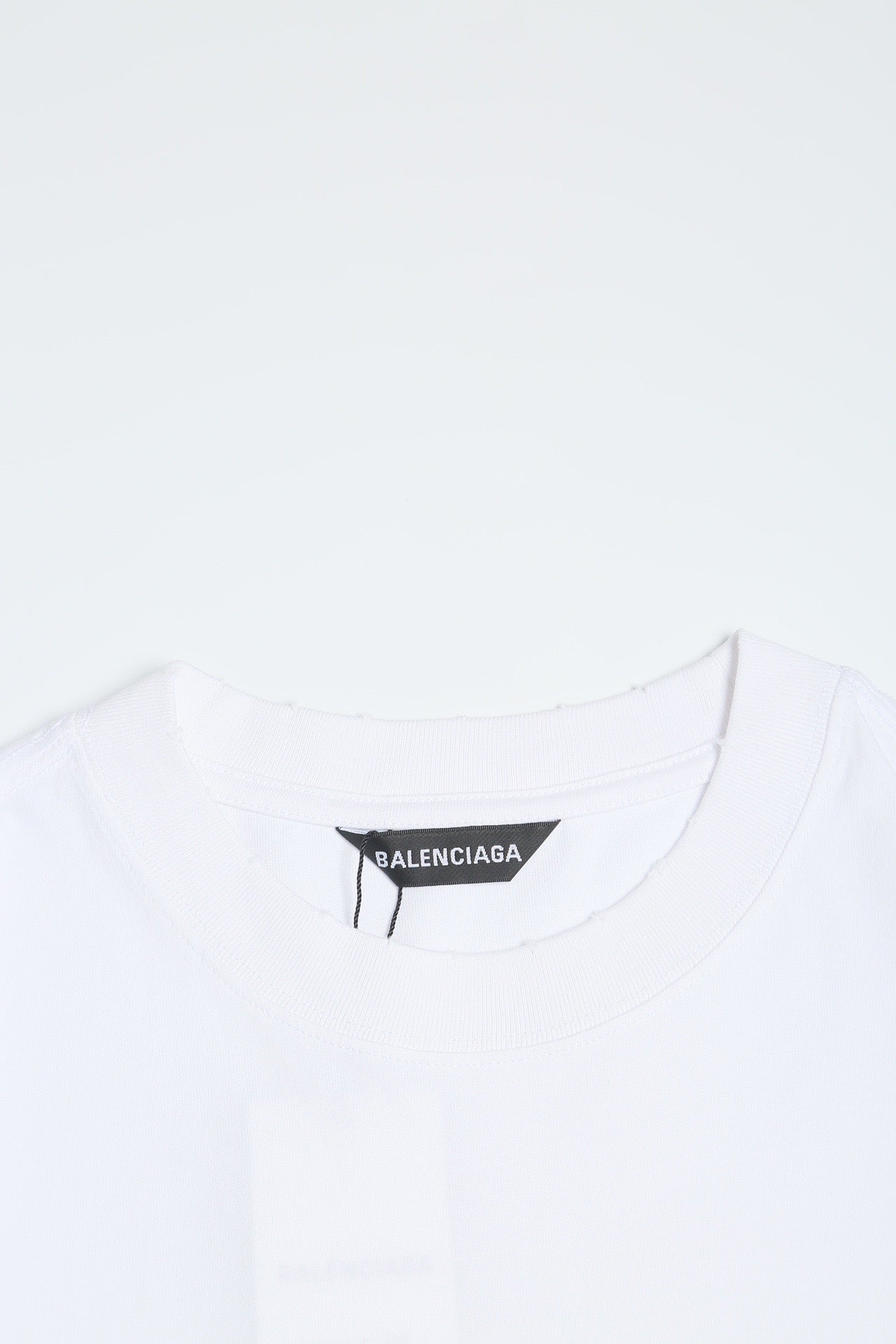 Ba1en*iaga T-shirt
