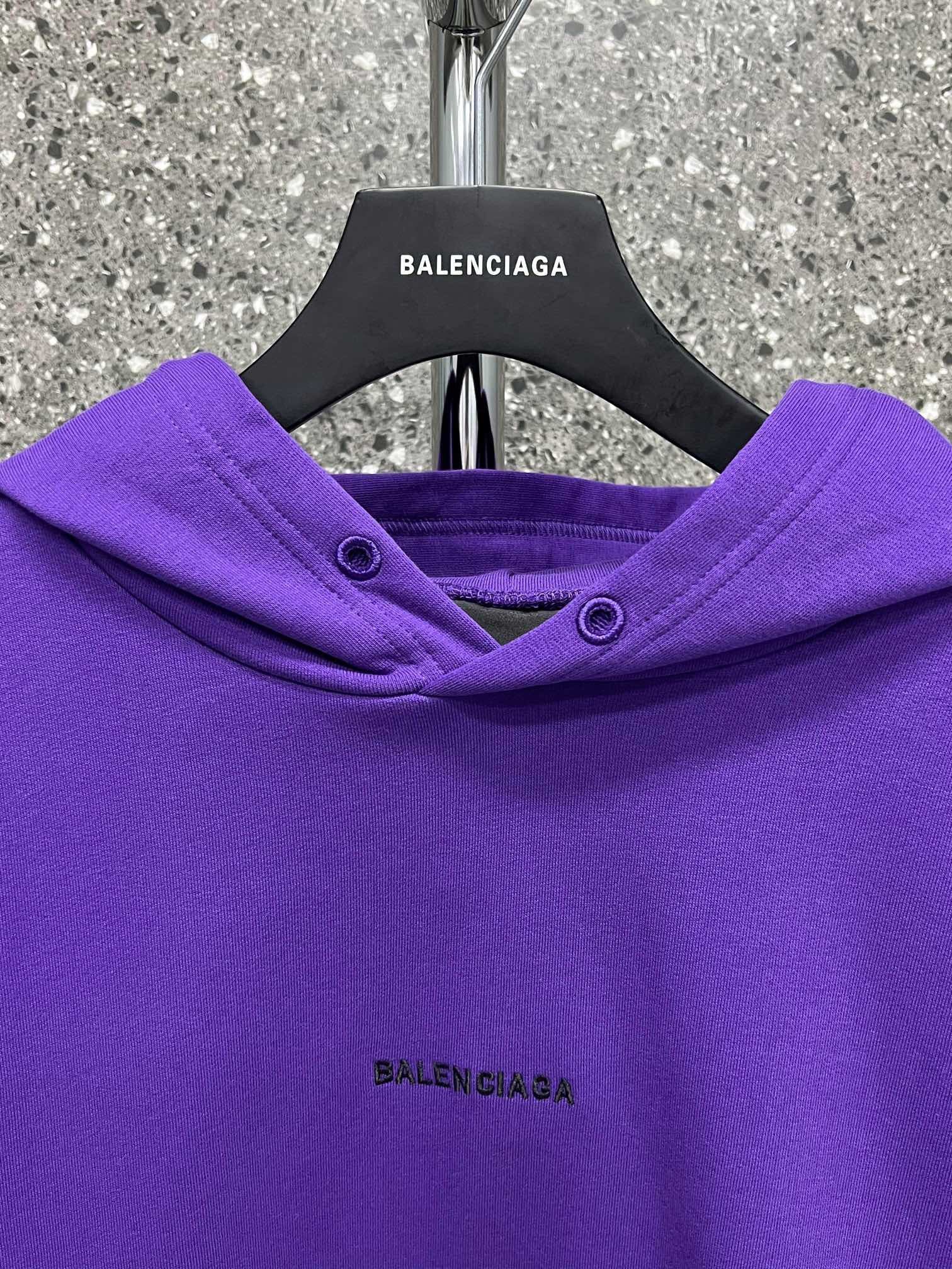 Ba1en*iaga Hoodie