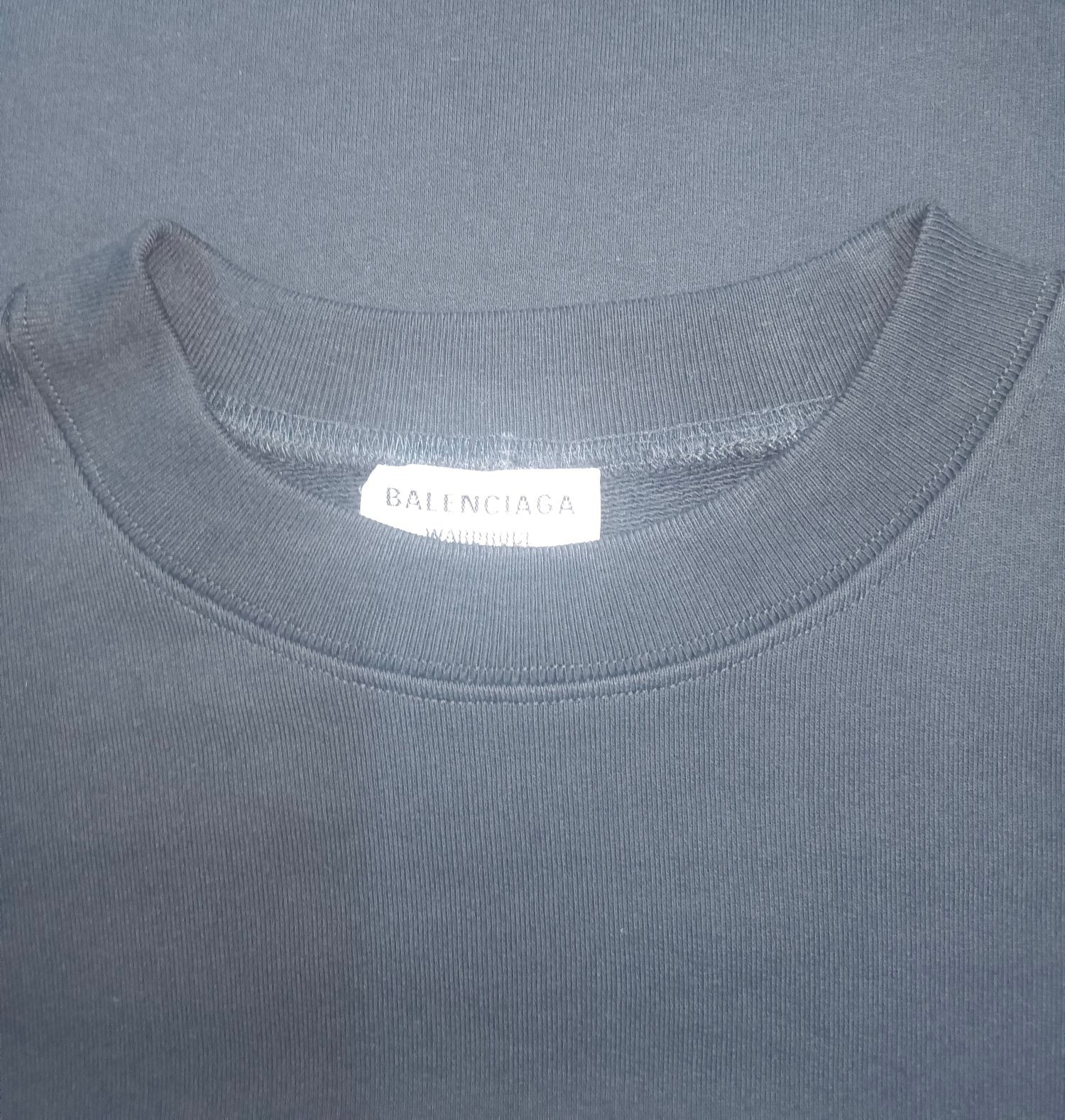 Ba1en*iaga Sweatshirt