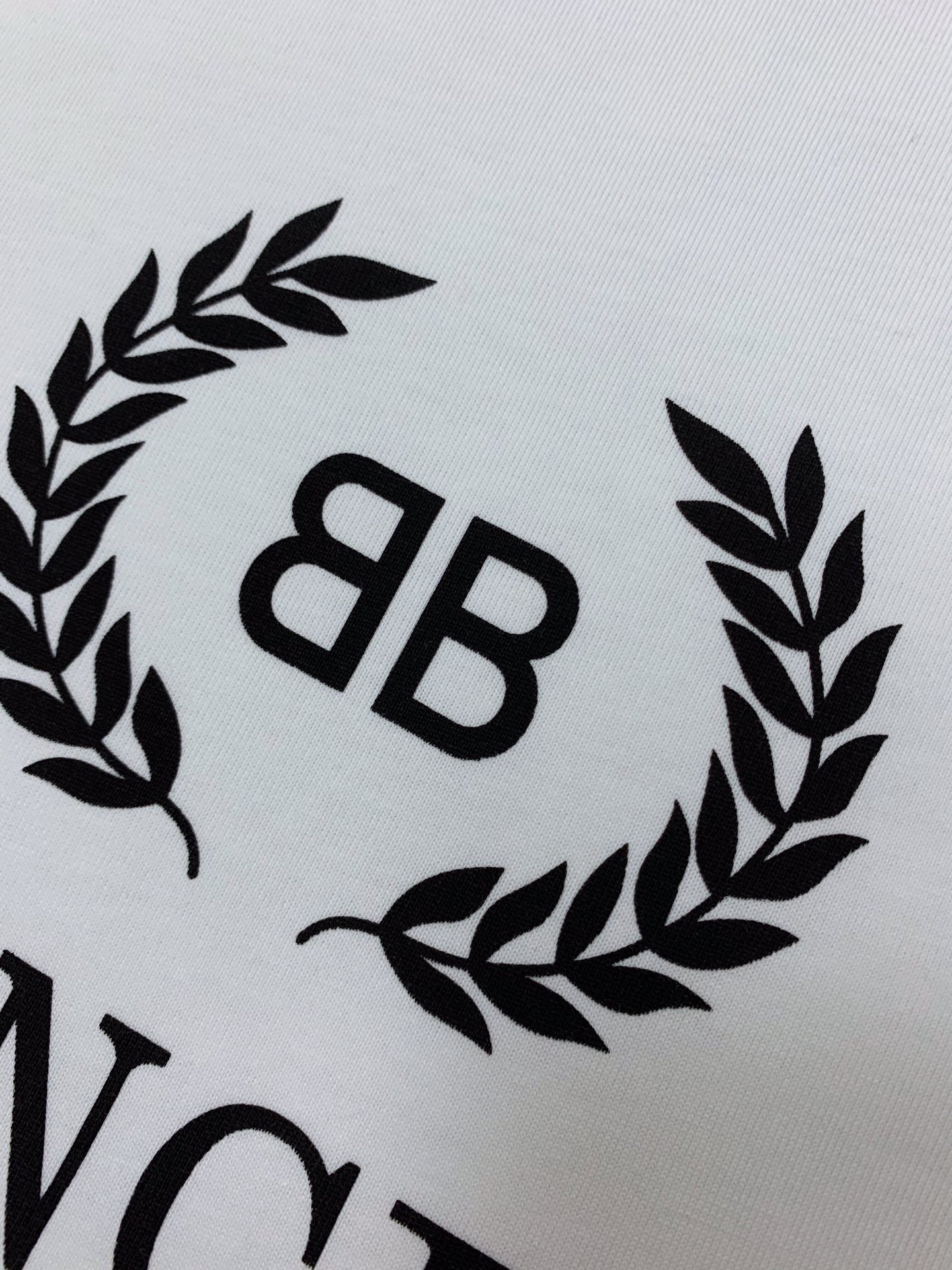 Ba1en*iaga T-shirt