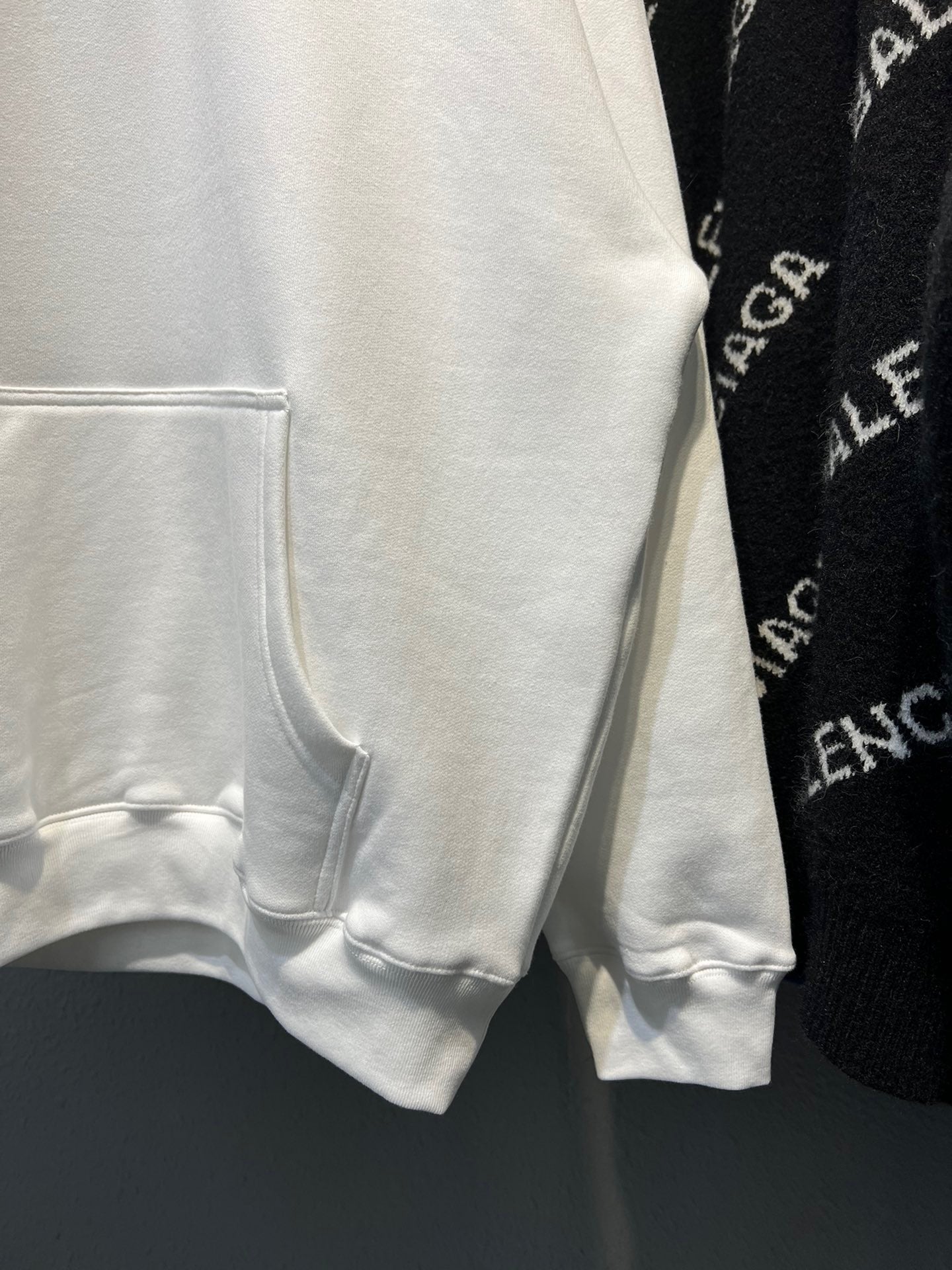 Ba1en*iaga Hoodie