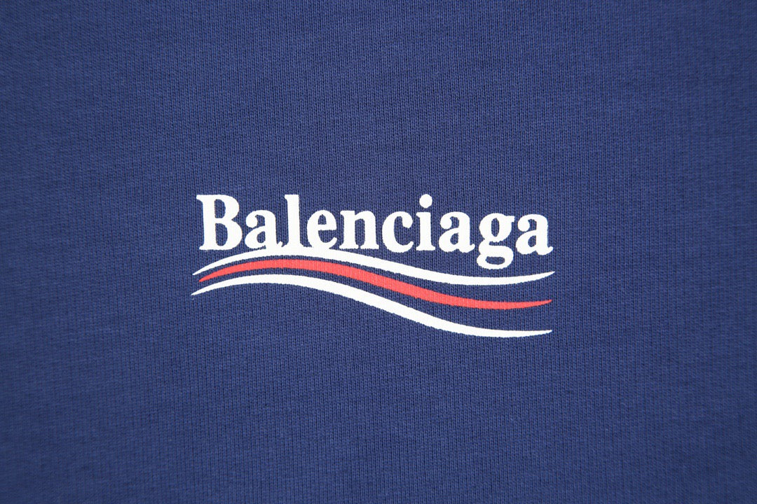 Ba1en*iaga Hoodie
