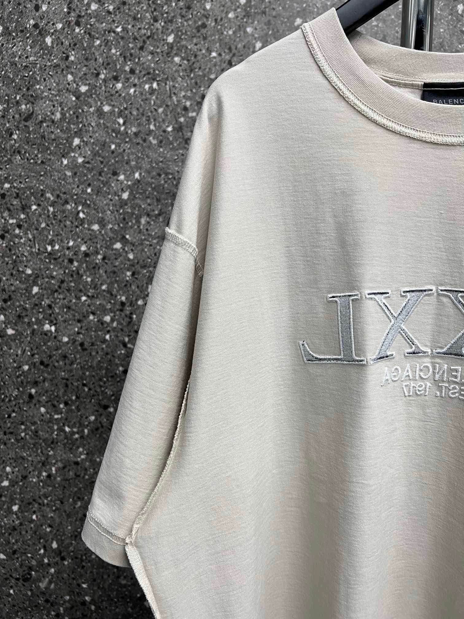 Ba1en*iaga T-shirt