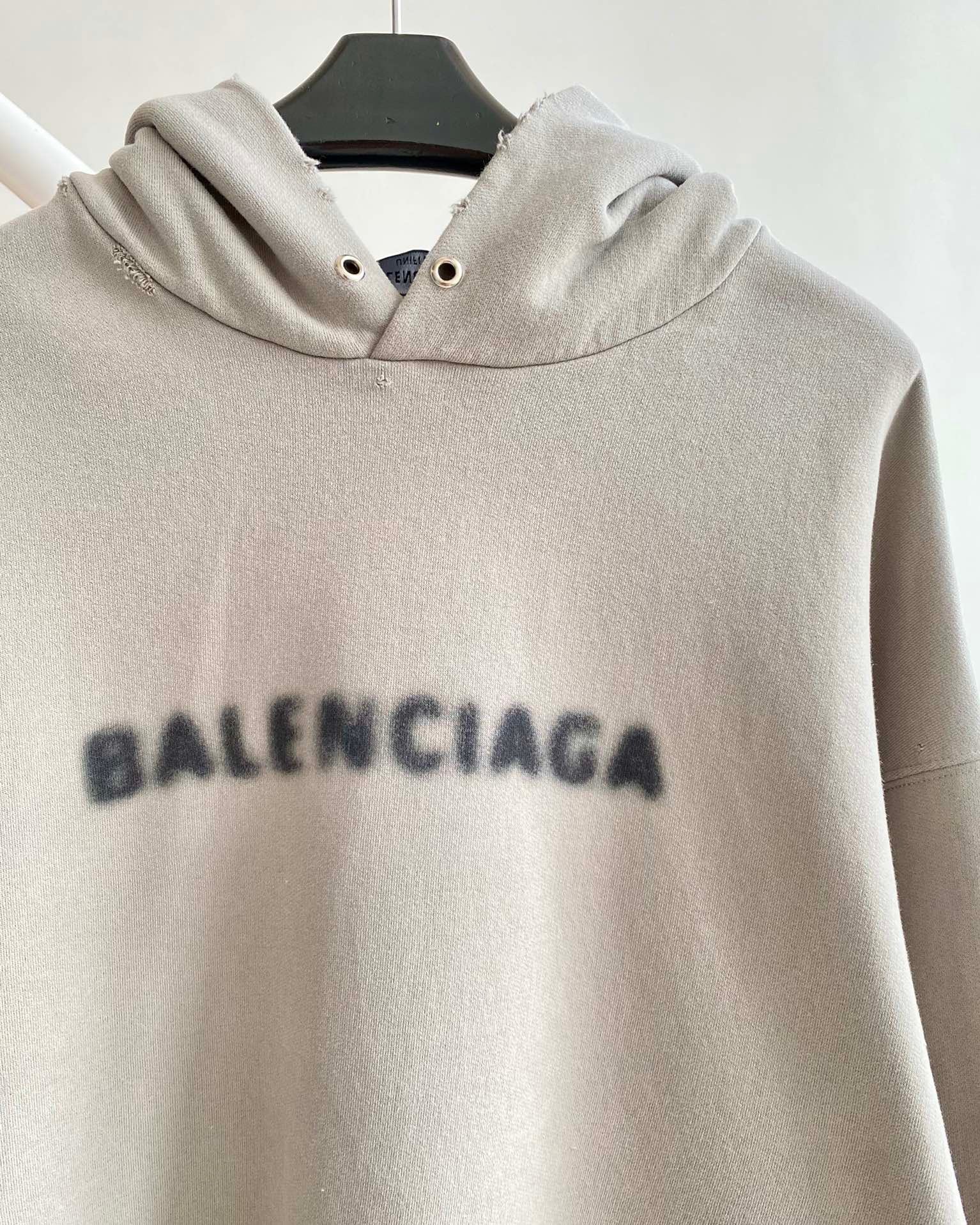 Ba1en*iaga Hoodie