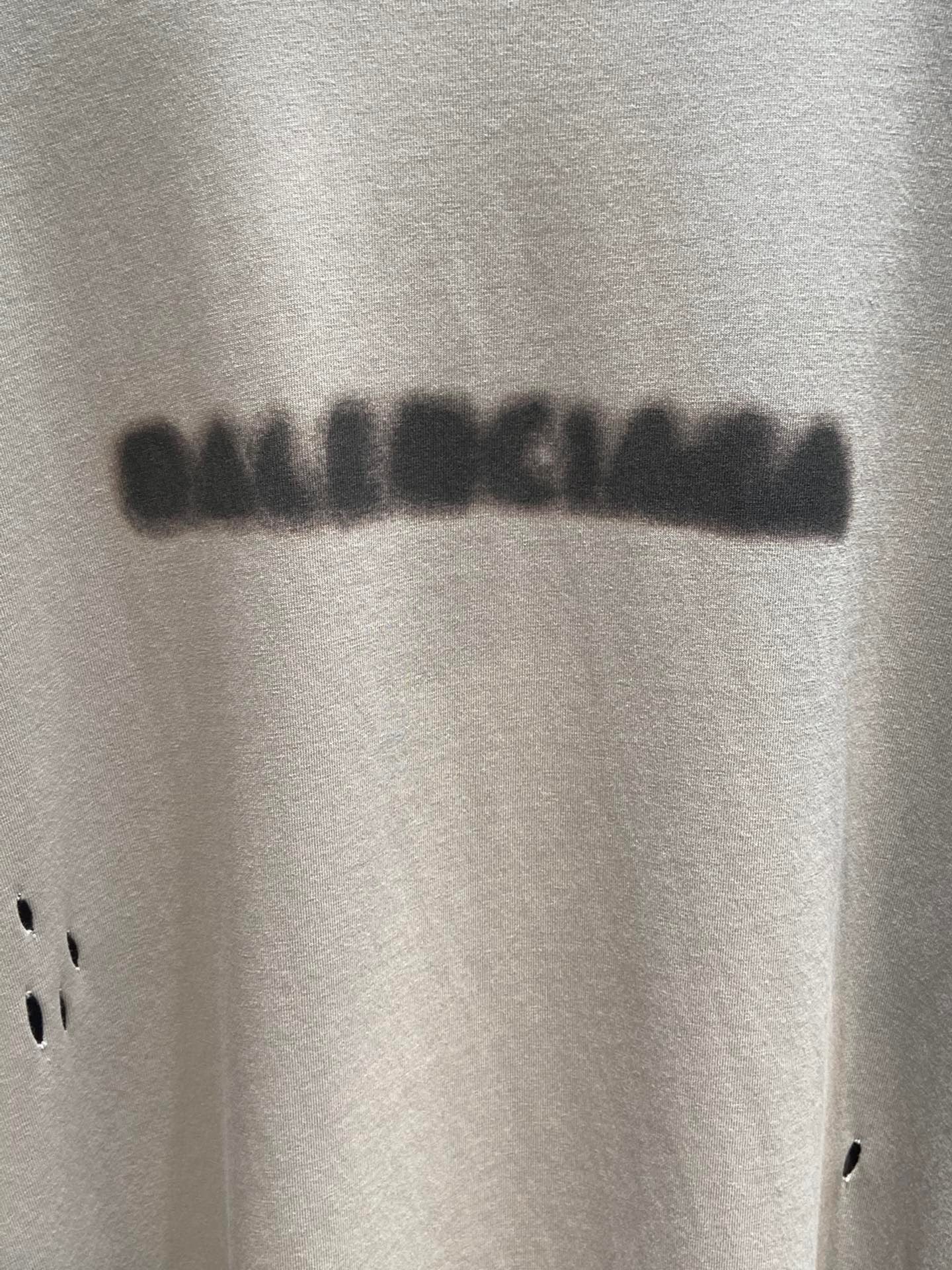 Ba1en*iaga T-shirt