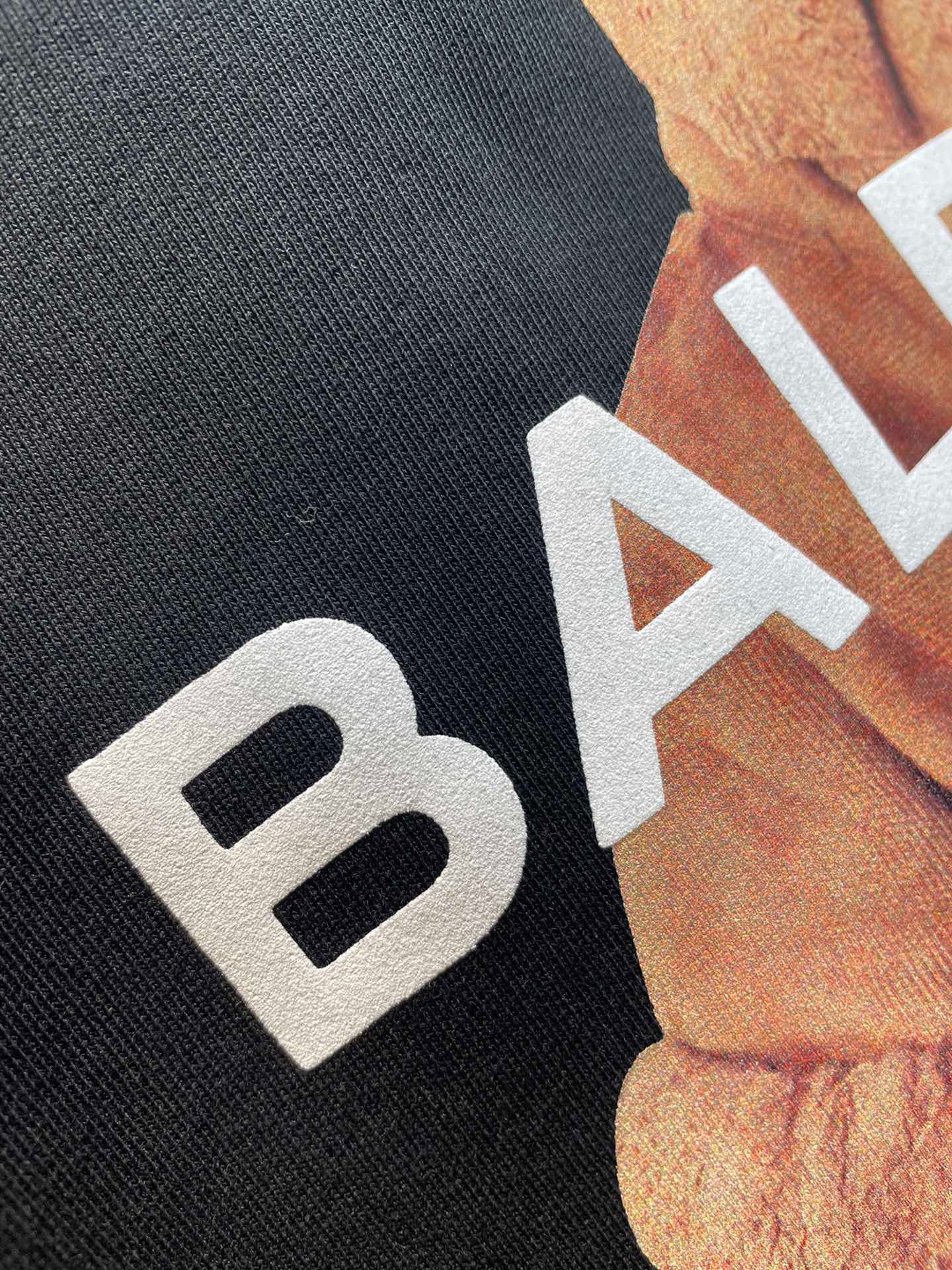 Ba1en*iaga Hoodie