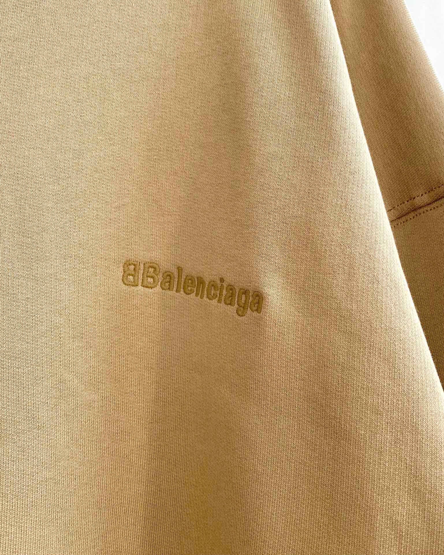 Ba1en*iaga Sweatshirt