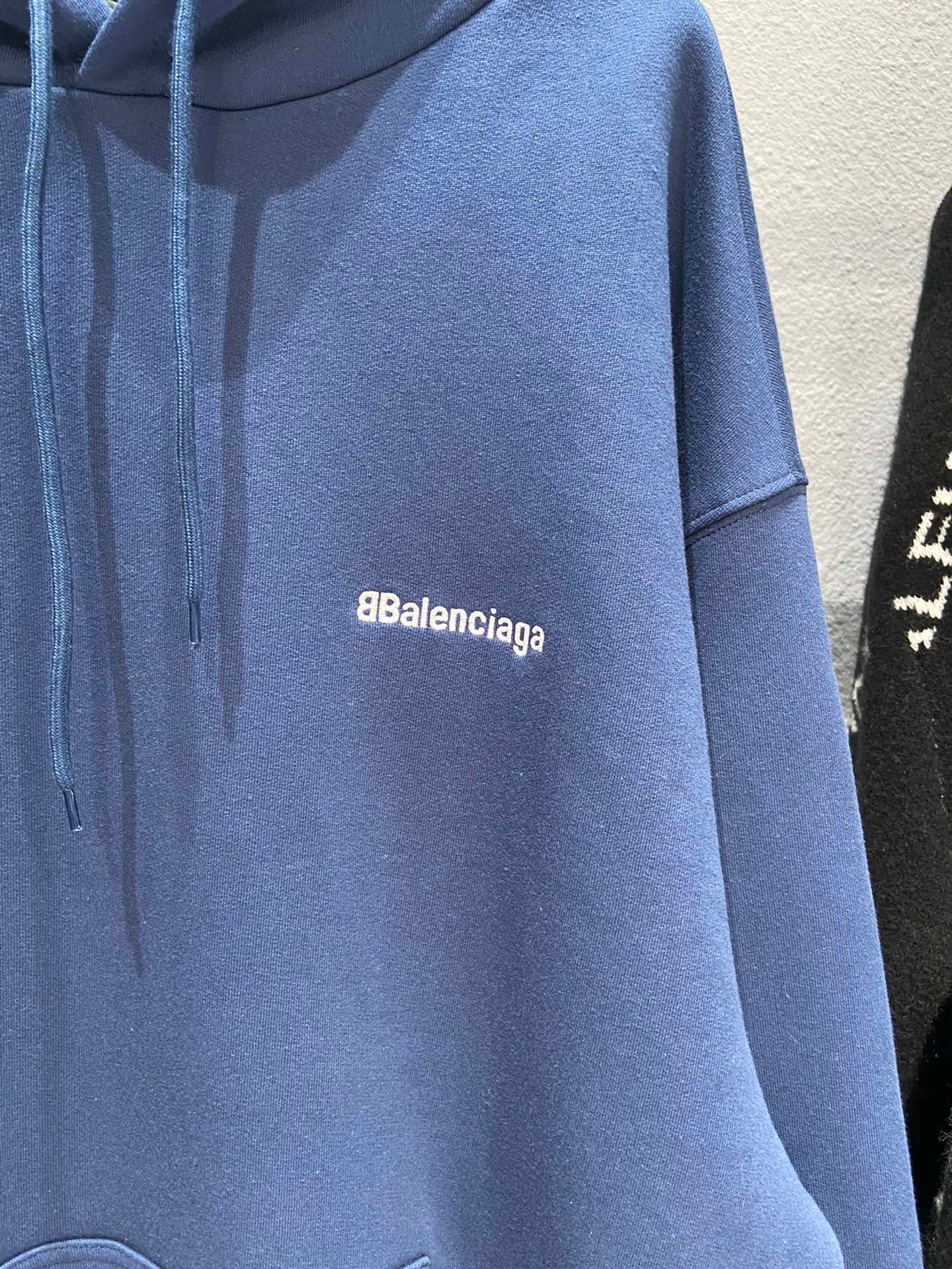 Ba1en*iaga Hoodie