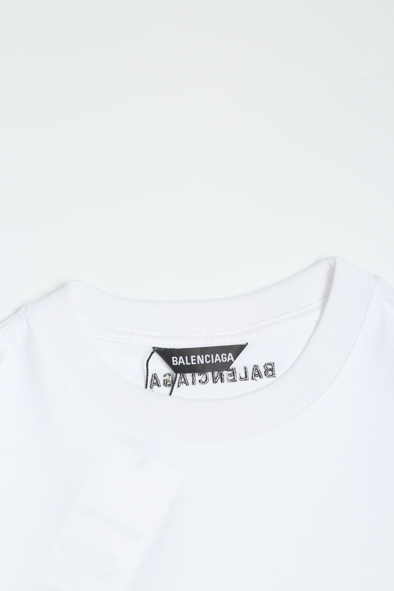 Ba1en*iaga T-shirt
