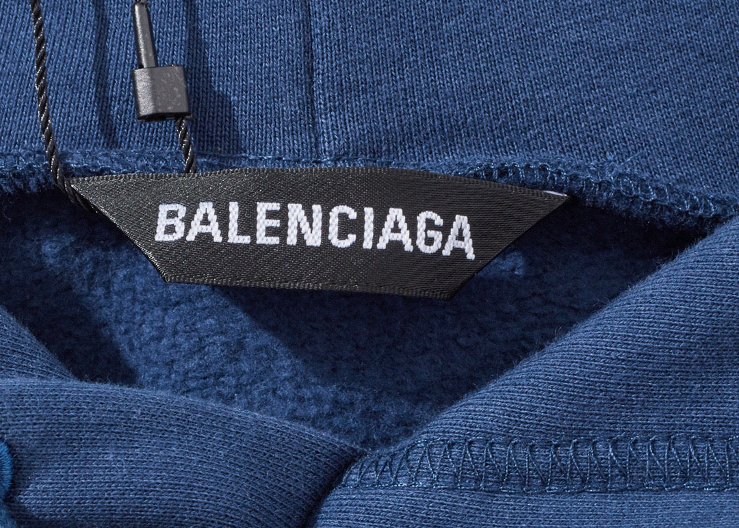 Ba1en*iaga Hoodie