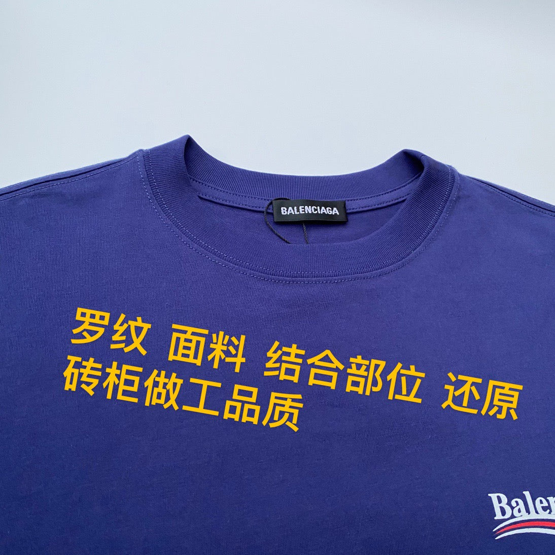 Ba1en*iaga T-shirt
