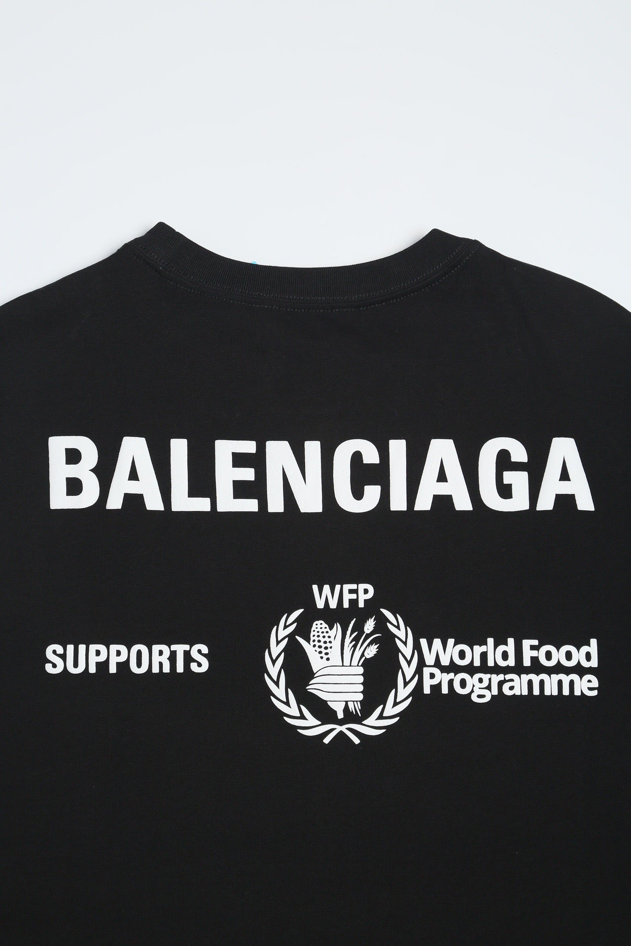 Ba1en*iaga T-shirt