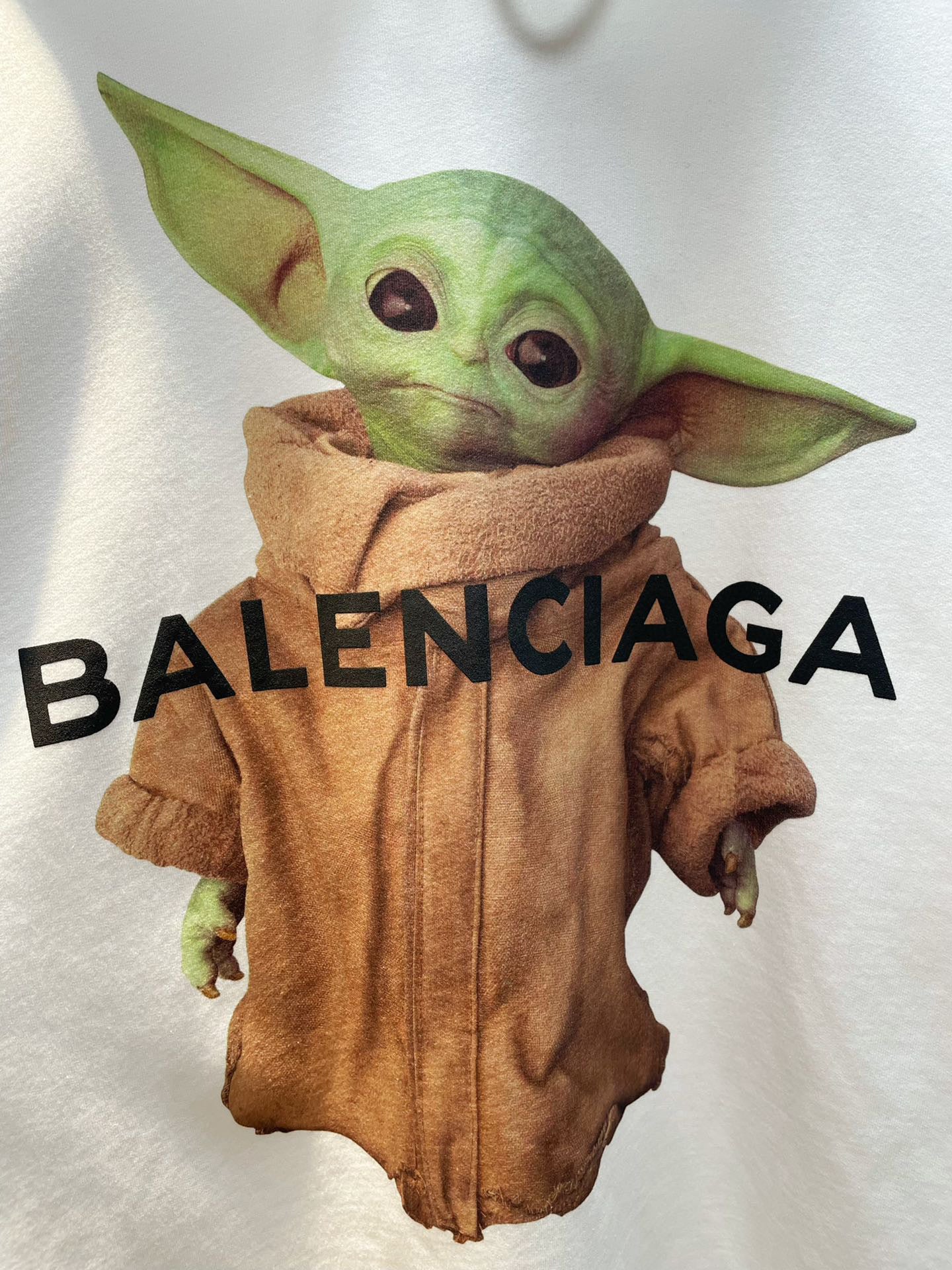 Ba1en*iaga Hoodie