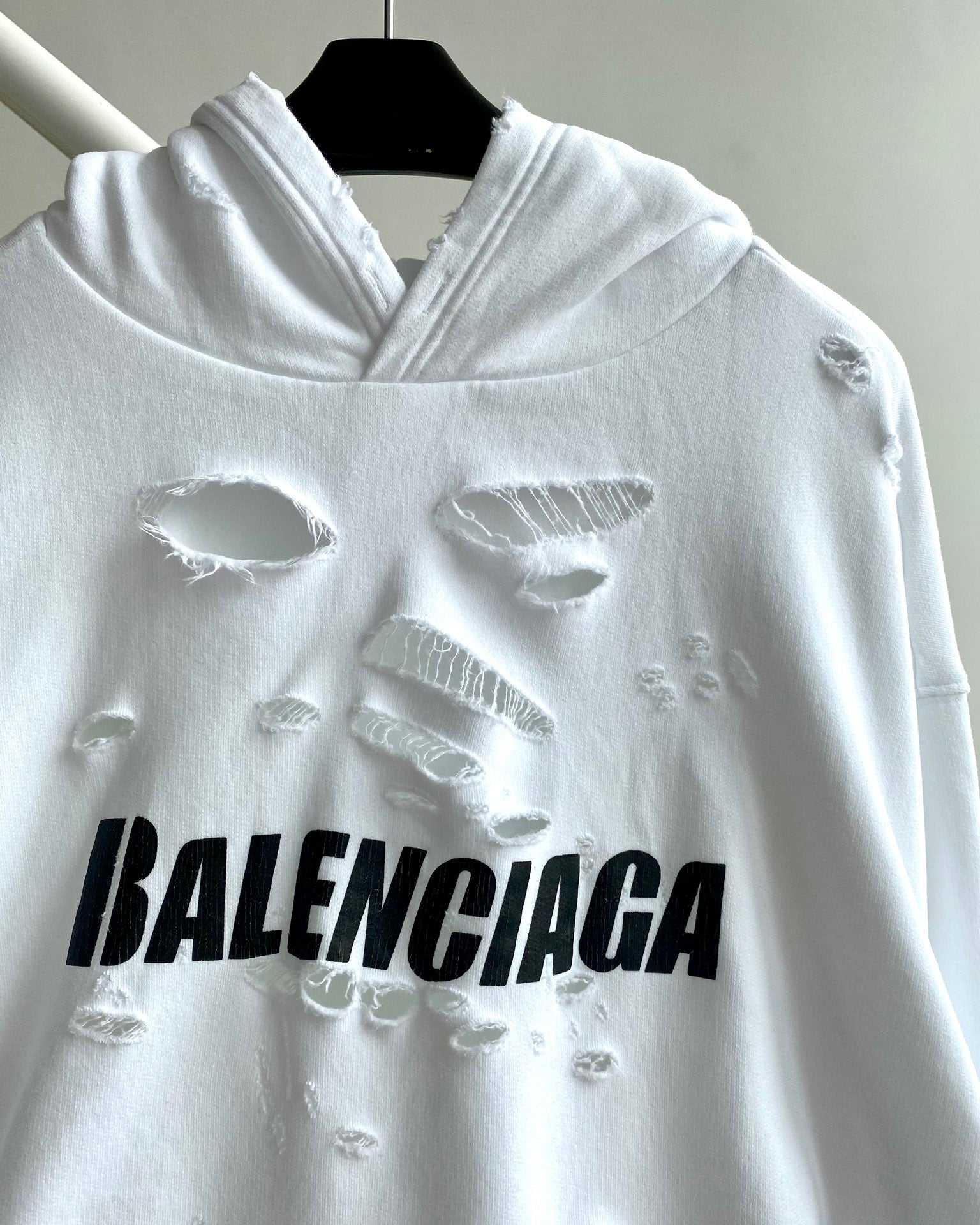Ba1en*iaga Hoodie