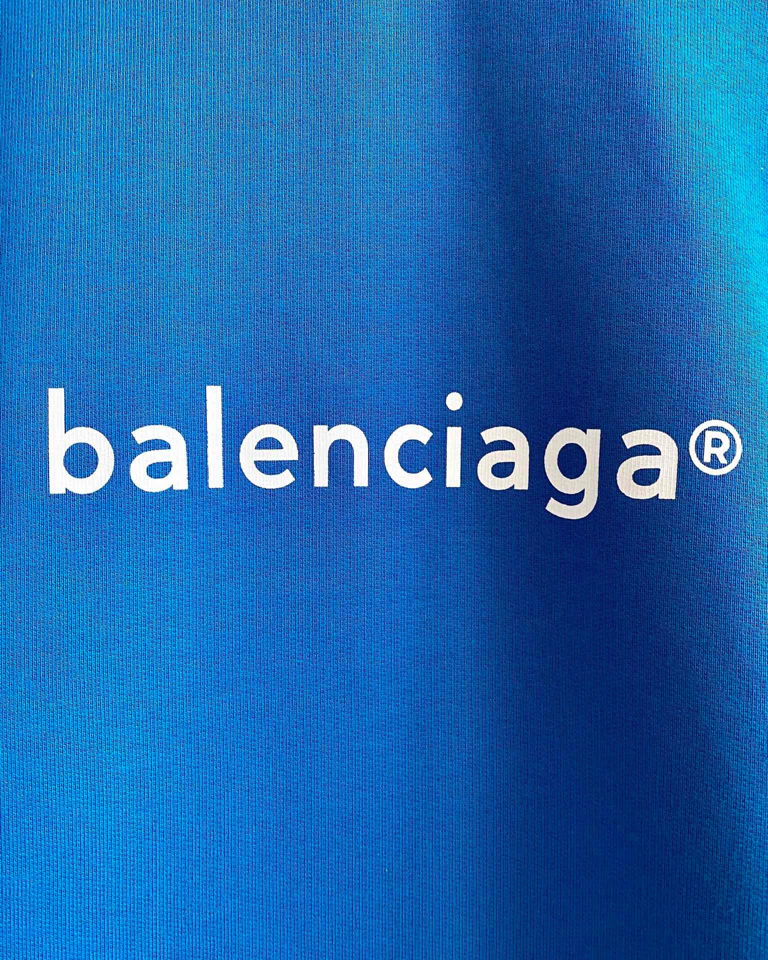 Ba1en*iaga Hoodie