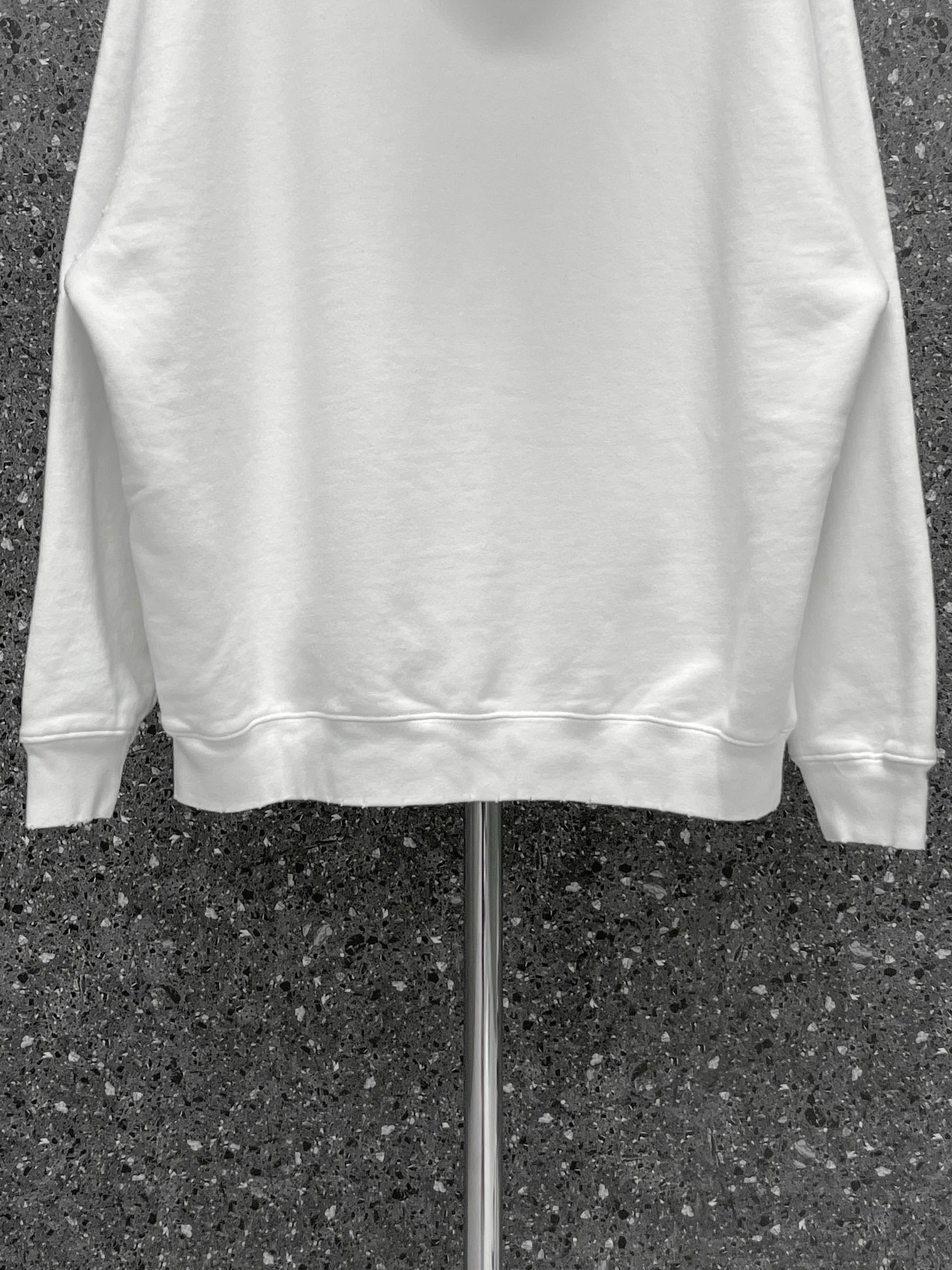 Ba1en*iaga Hoodie
