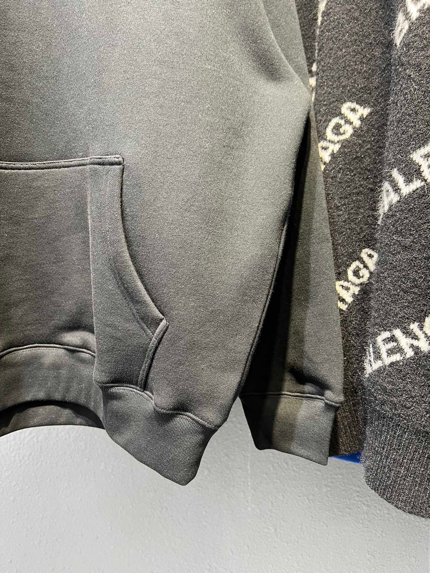 Ba1en*iaga Hoodie