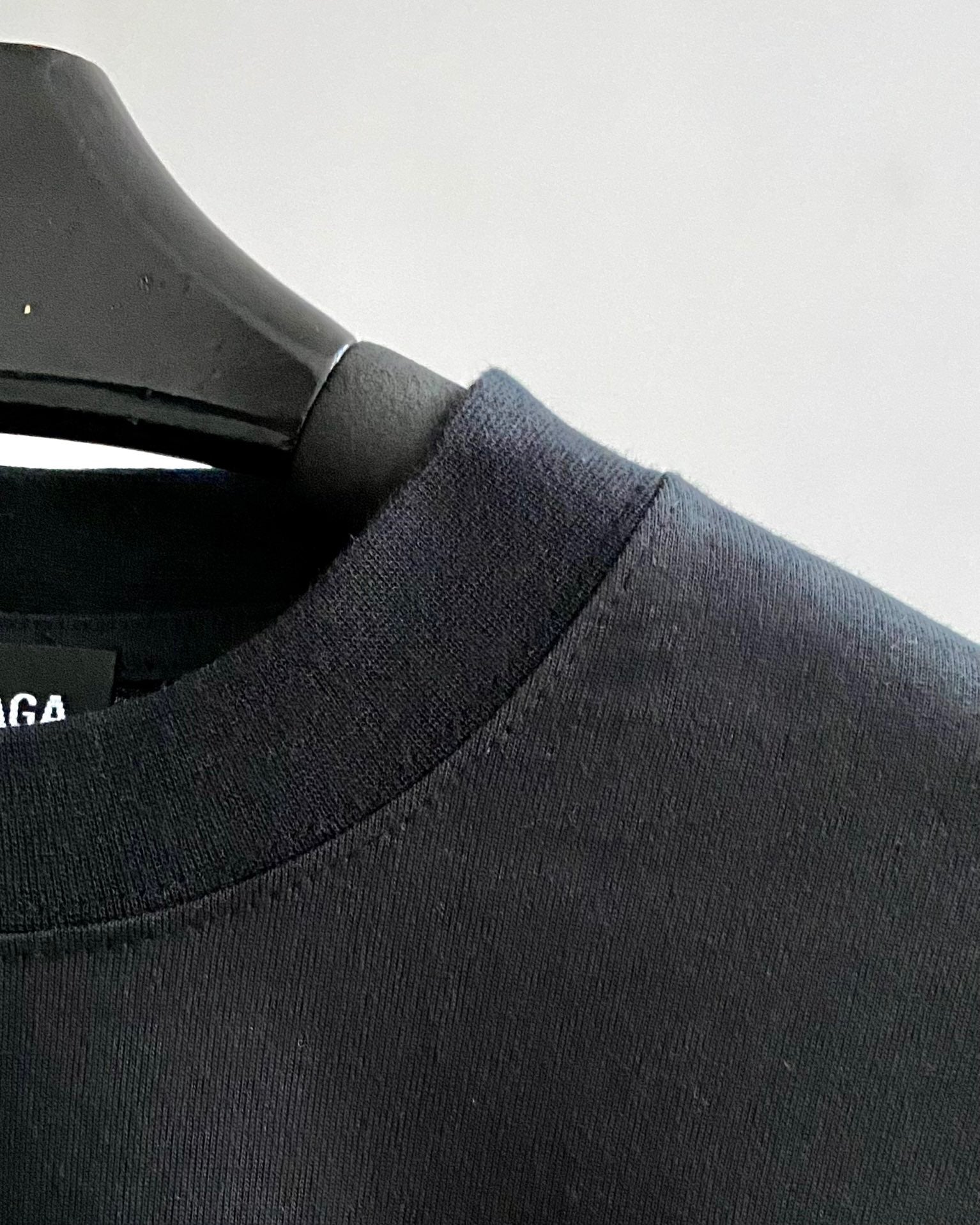 Ba1en*iaga T-shirt