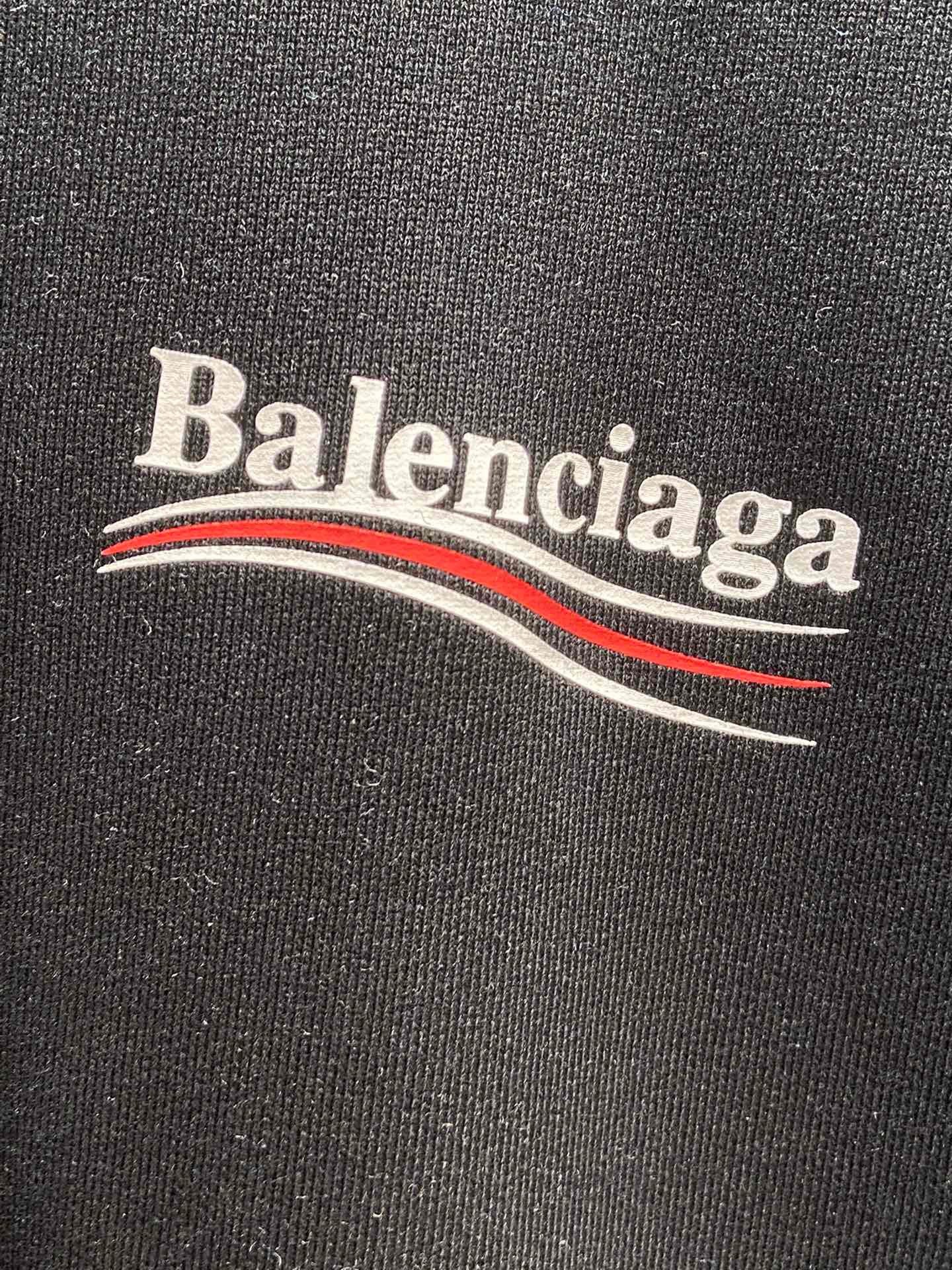 Ba1en*iaga Hoodie