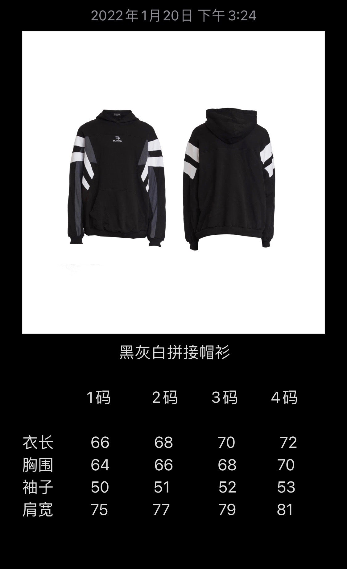 Ba1en*iaga Hoodie